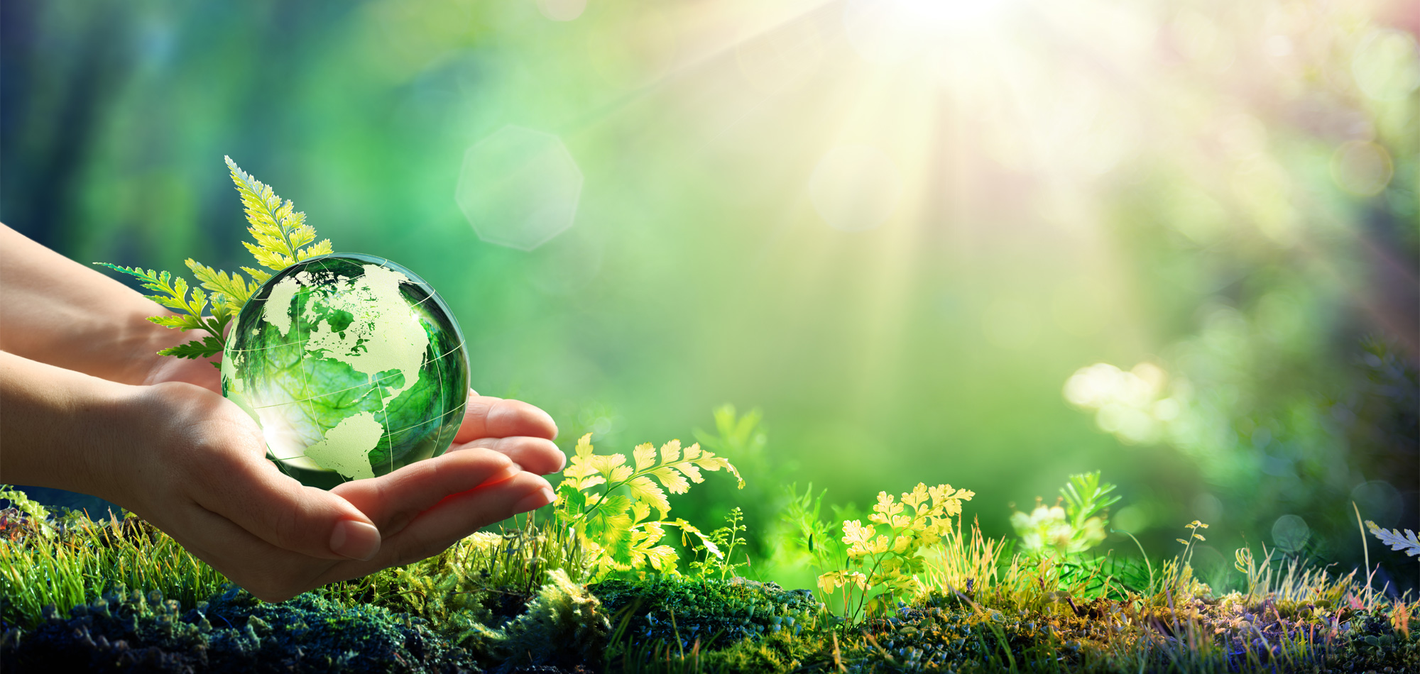 A comprehensive outlook on global markets, with a focus on Europe, the U.S and the Middle East